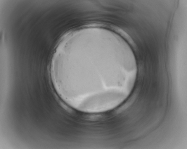 X0000112971425200910081036