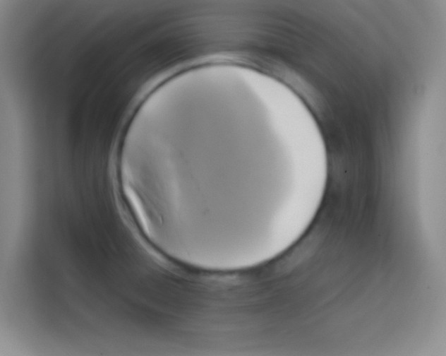 X0000112971428200910081036
