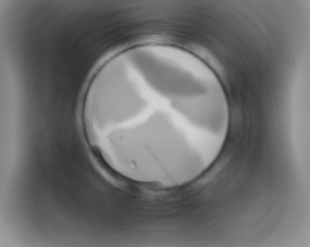 X0000112971429200910081036