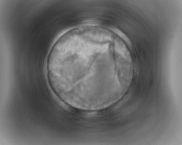 X0000112971431200910081036