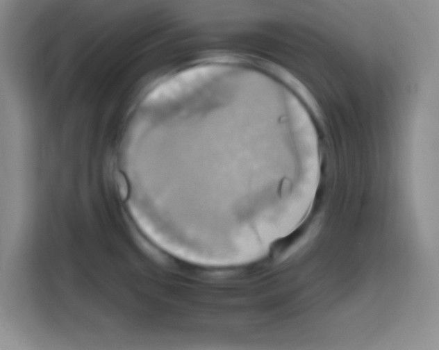 X0000112971433200910081036