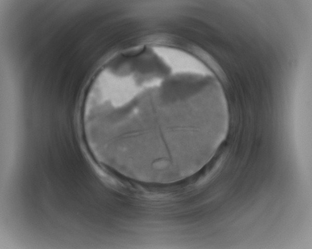 X0000112971434200910081036