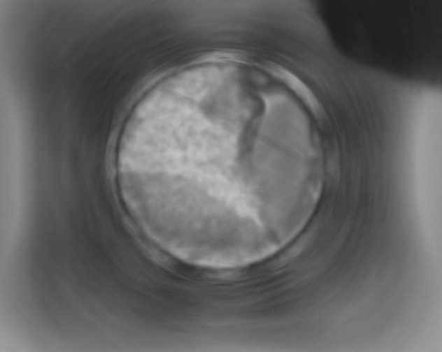 X0000112971435200910081036