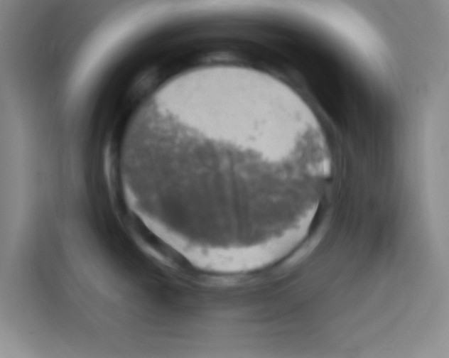 X0000112971438200910081037