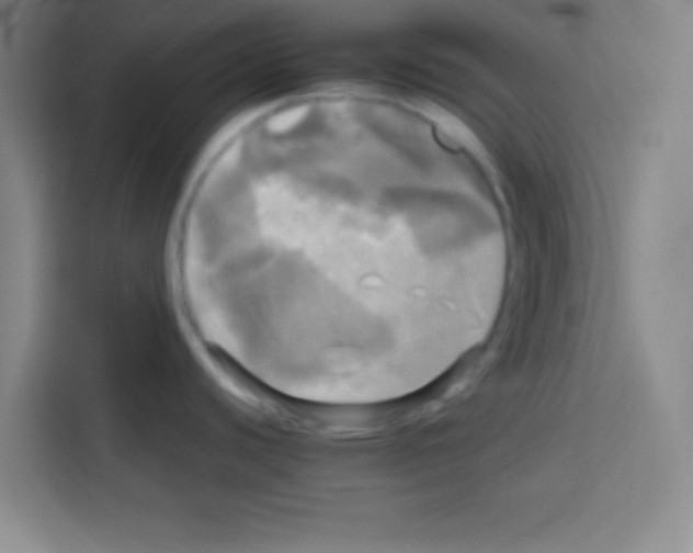 X0000112971440200910081037