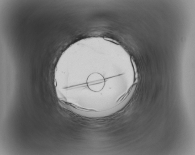 X0000112971441200910081036