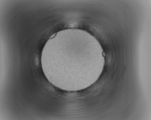 X0000112971442200910081036