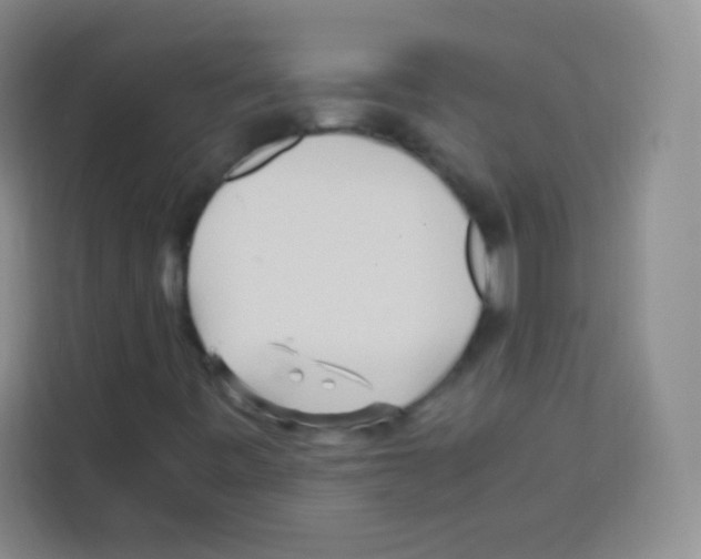 X0000112971443200910081036