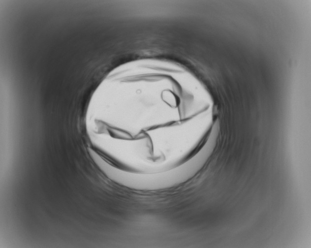 X0000112971444200910081036