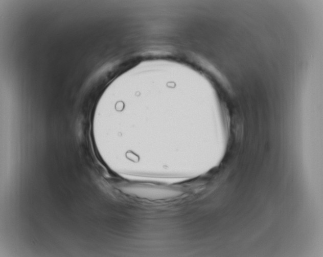 X0000112971448200910081036