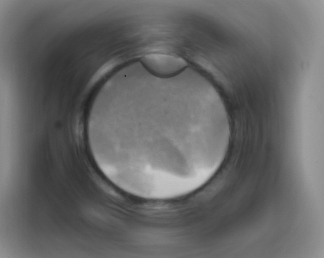 X0000112971450200910081036