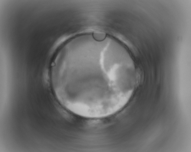 X0000112971454200910081036