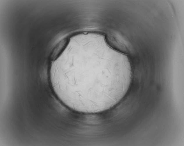 X0000112971456200910081036