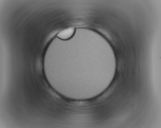 X0000112971458200910081036