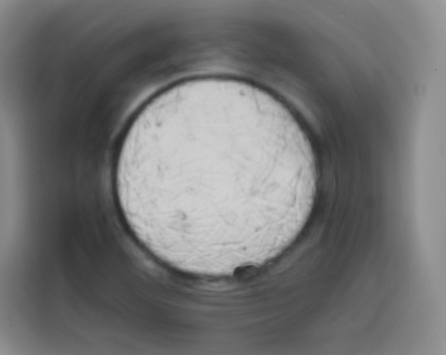 X0000112971460200910081036