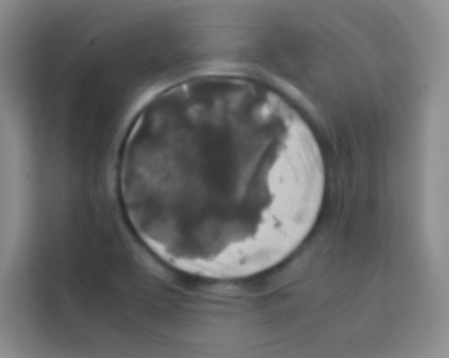 X0000112971463200910081036