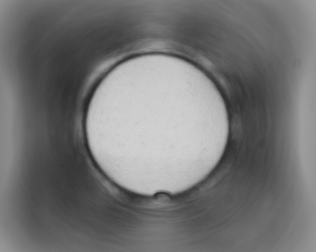 X0000112971464200910081036