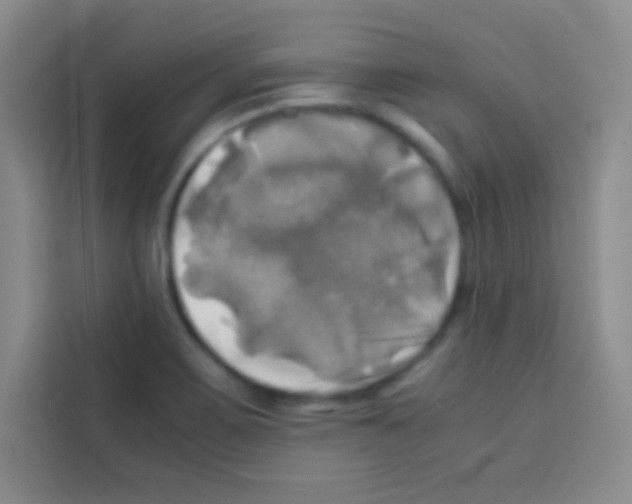 X0000112971467200910081036