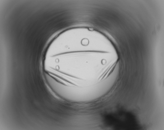 X0000112971468200910081036