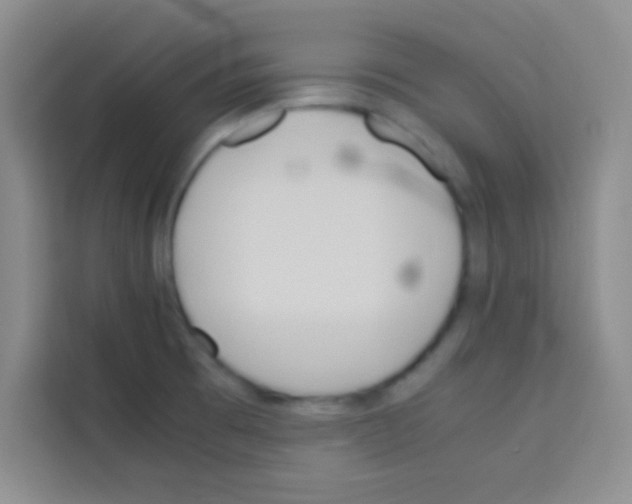 X0000112971473200910081036