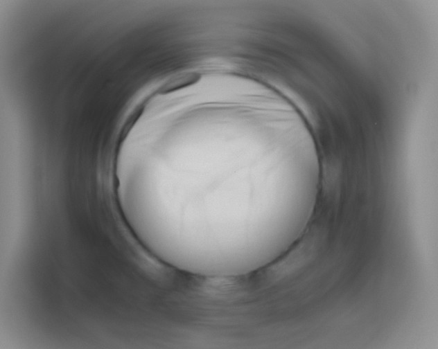 X0000112971477200910081035
