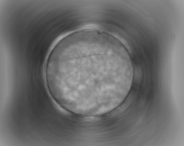 X0000112971478200910081035