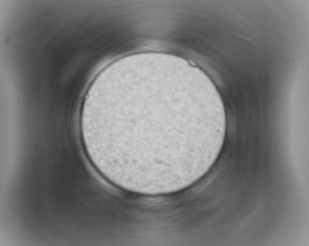 X0000112971479200910081035