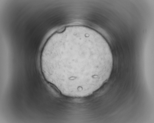 X0000112971480200910081035
