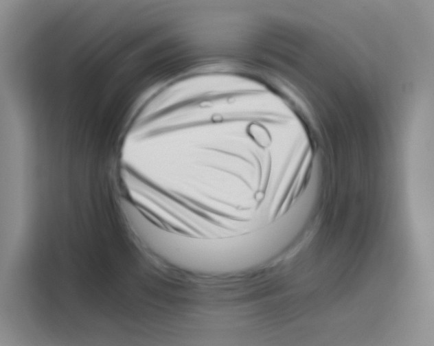 X0000112971481200910081035