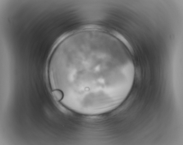 X0000112971482200910081035