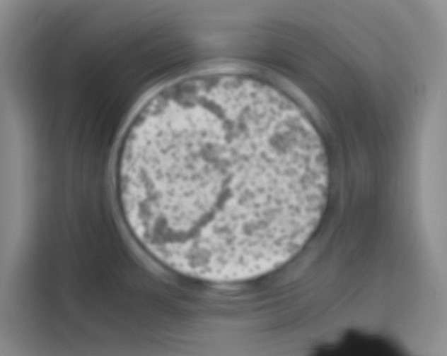 X0000112971483200910081035