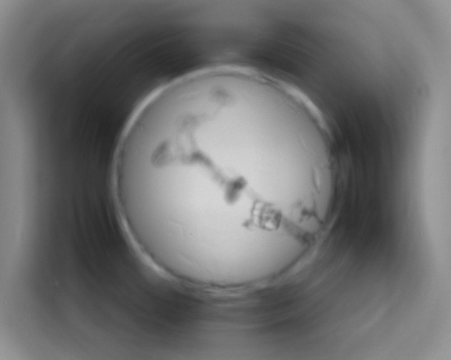 X0000112971484200910081035