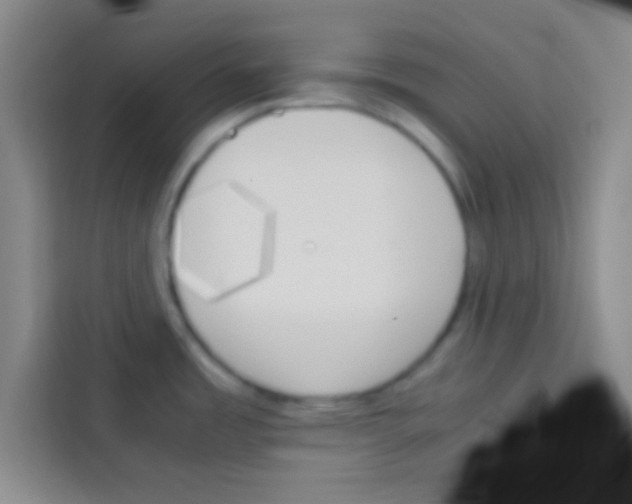 X0000112971485200910081035