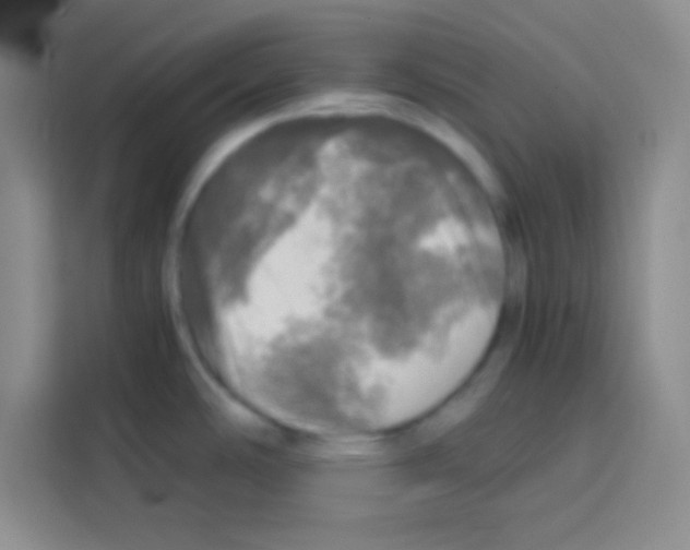 X0000112971486200910081035