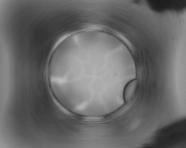 X0000112971487200910081035
