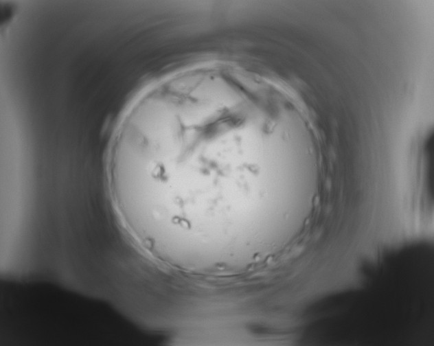 X0000112971488200910081035