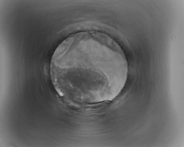 X0000112971490200910081035
