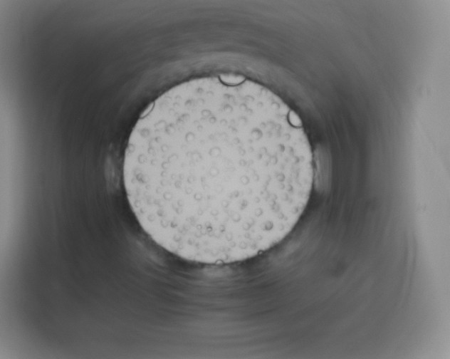 X0000112971491200910081035