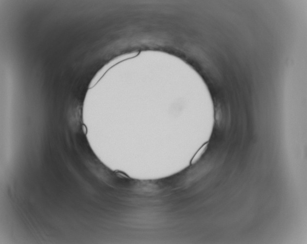 X0000112971492200910081035