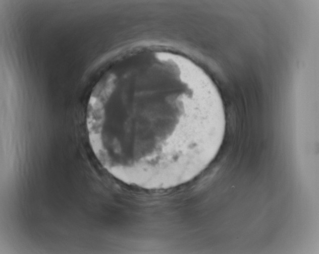 X0000112971494200910081035