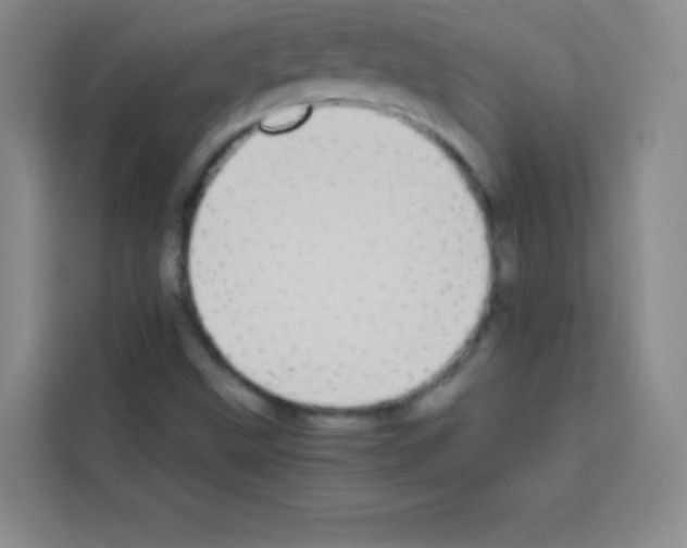 X0000112971499200910081035