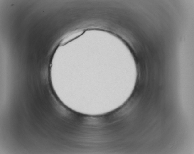 X0000112971500200910081035