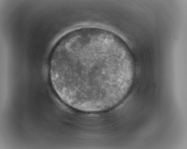 X0000112971503200910081035