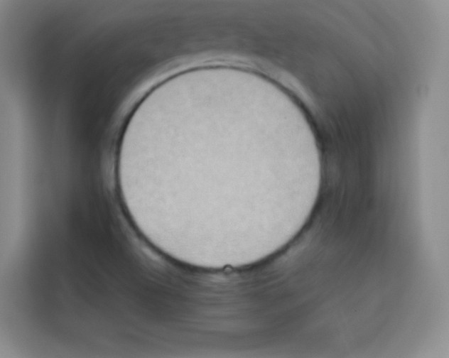 X0000112971504200910081035