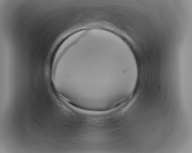 X0000112971506200910081035