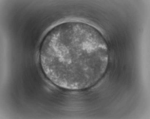 X0000112971507200910081035