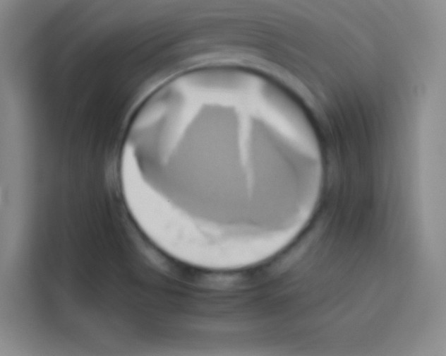 X0000112971513200910081035