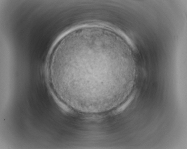 X0000112971514200910081035