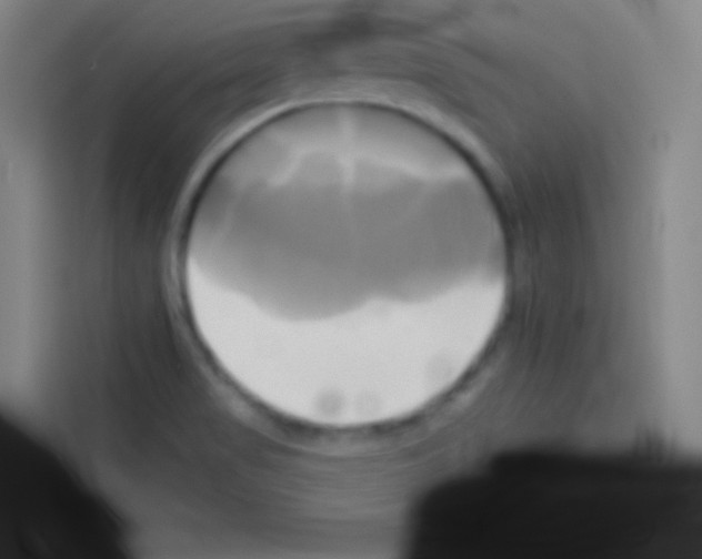 X0000112971517200910081035
