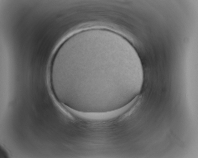X0000112971518200910081035